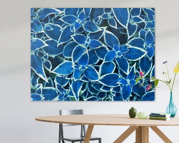 Blue Leaves (Bladeren in Blauw) van Caroline Lichthart