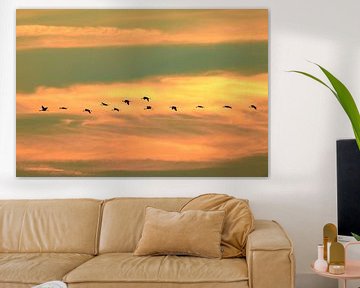 Crane birds flying in formation in a sunset by Sjoerd van der Wal Photography