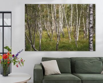 Birches by Iris Heuer