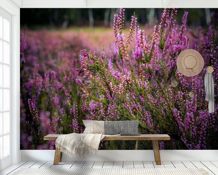 Sfeerimpressie behang: Heide in bloei van Dirk Smit