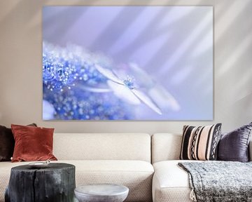 Blauwe hortensia met soft pastel uitstraling van KB Design & Photography (Karen Brouwer)