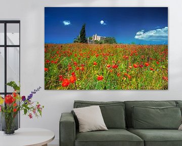 Finca with poppy field in Mallorca. by Voss Fine Art Fotografie