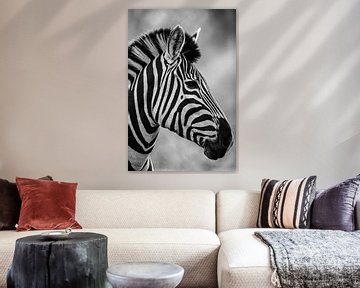 Zebra Schwarz/Weiß von Francois du Plessis
