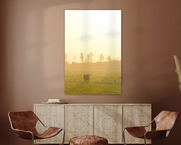 Vache dans un pré au lever du soleil brumeux sur Sjoerd van der Wal Photographie
