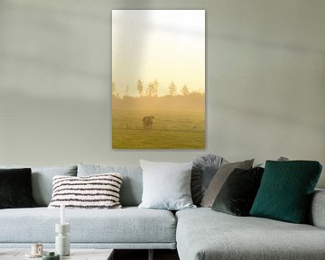 Koe in een wei tijdens een mistige zonsopgang van Sjoerd van der Wal