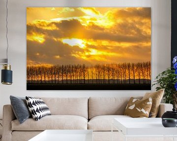 Sonnenlicht hinter den Wolken über einer Baumreihe von Sjoerd van der Wal Fotografie