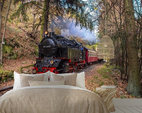 Aperçu de la chambre