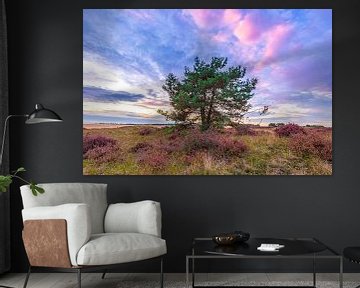 The heather in bloom by Sander Meertins