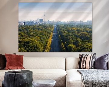 Berlijnse skyline met Tiergarten en televisietoren