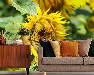 Zonnebloem met vlinder