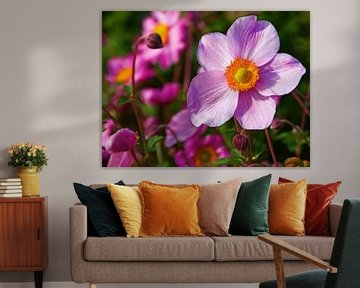 Roze Herfst-Anemoon (Anemone Hybrida Roze) van Caroline Lichthart