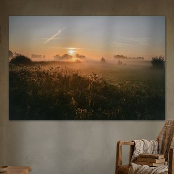 Foggy autumn day sunrise