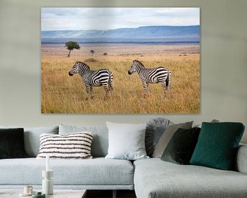 Zebra's in de Masai Mara van Angelika Stern