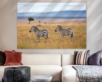 Zebra's in de Masai Mara van Angelika Stern