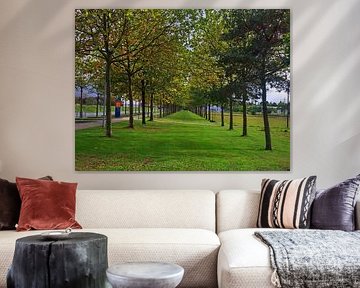 Avenue in the countryside