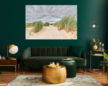 Het Nederlandse landschap met het beeld van de duinen van eric van der eijk