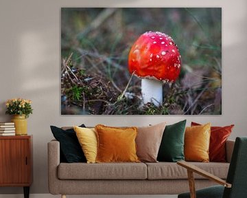 Dots lost (mushroom red with white dots) by Mariska de Jonge