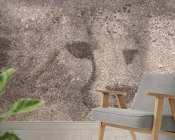 Geest van de cheeta. Digitale kunst. Afrika van Bobsphotography