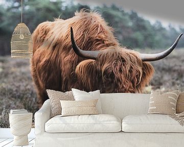 Portret van een Schotse Hooglander koe in de natuur van Sjoerd van der Wal Fotografie