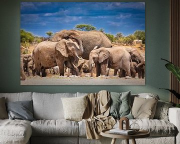 Elefanten-Staubbad, Namibia