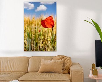 Poppy in a grain field by Remco-Daniël Gielen Photography