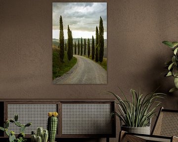 Laan met cipressen in Toscane, Italië van Discover Dutch Nature