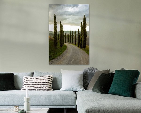 Avenue avec des cyprès en Toscane, Italie