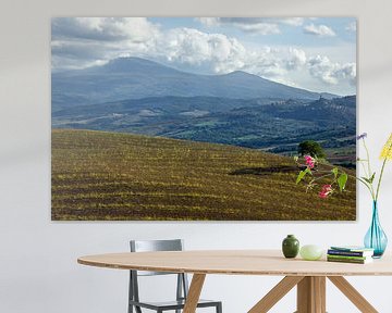 Boom in het landschap van Toscane , Italië van Discover Dutch Nature