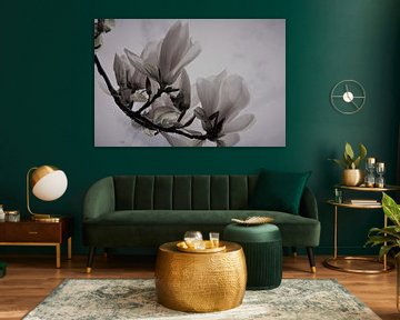 Gros plan sur le magnolia sur Loretta's Art