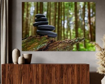 Balance by Jürgen Wiesler