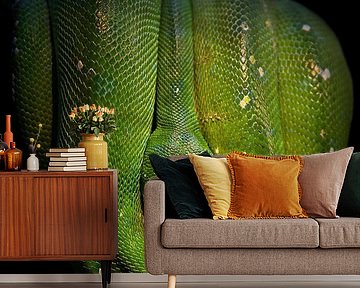 Green tree Python by Patrick van Bakkum