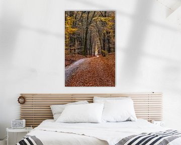 Suivez le chemin à travers la forêt d'automne sur Dennisart Fotografie