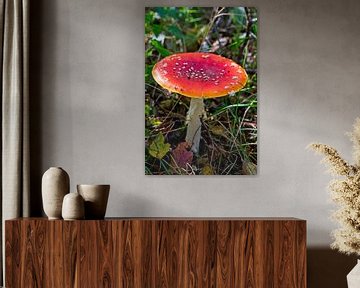 Red mushroom in full view by Mariska de Jonge