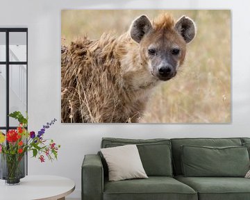 Hyena van Angelika Stern