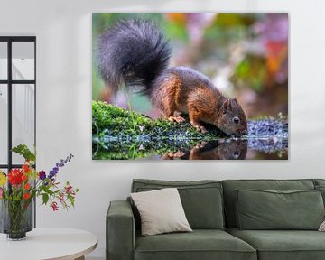 Autumn squirrel van Linda Raaphorst