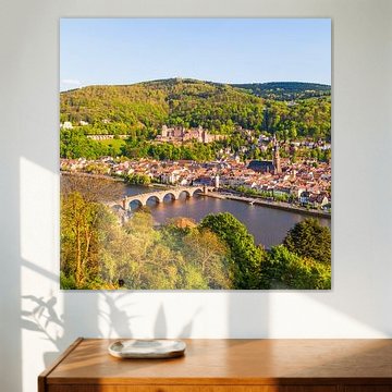 Heidelberg met kasteel Heidelberg van Werner Dieterich