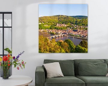 Heidelberg met kasteel Heidelberg van Werner Dieterich