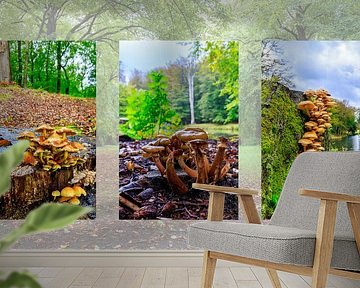 Autumn triptych with mushrooms in the forest
