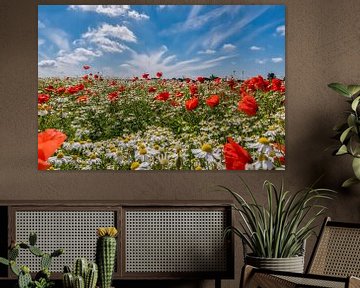 Klaprozen en kamille veld in Nederland van Remco-Daniël Gielen Photography