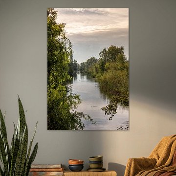 Herfst De Elzen Dordrecht van Rob van der Teen