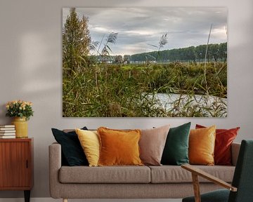 Dordtse Biesbosch-Herbst von Rob van der Teen