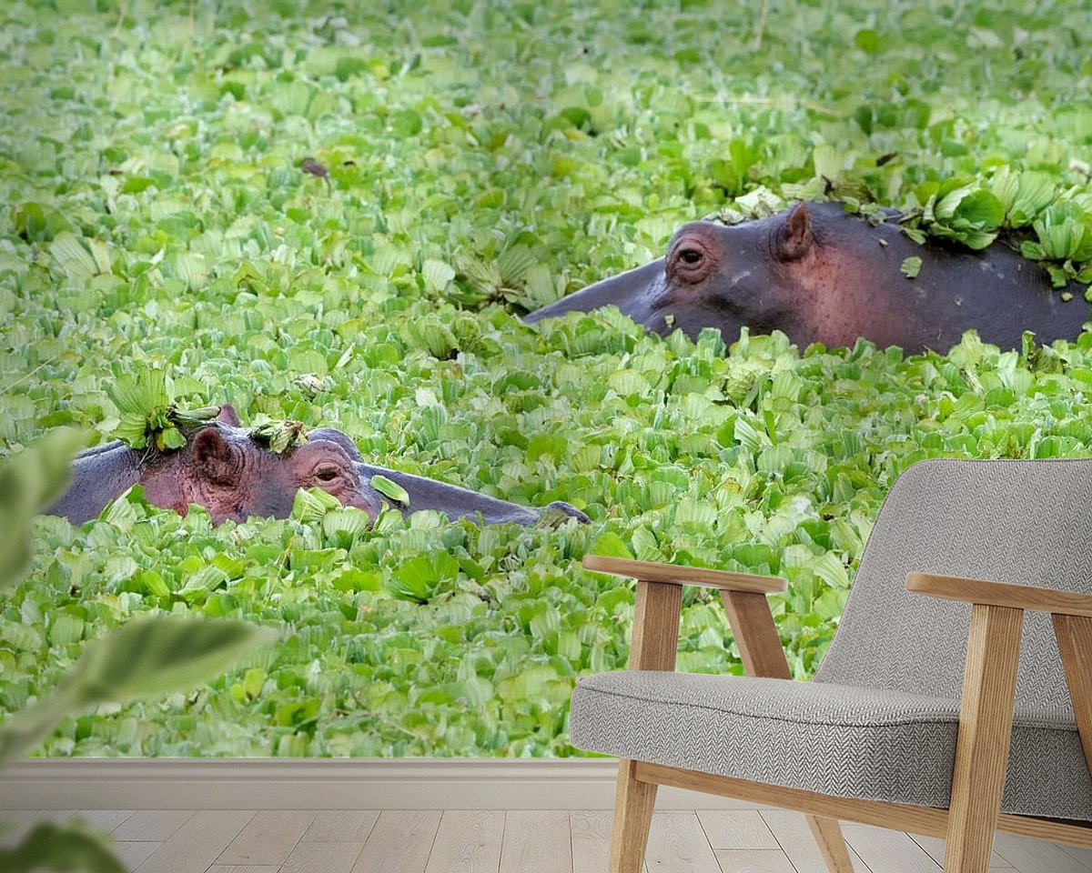 Raumvorschau