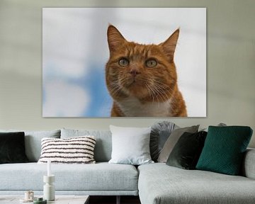 Zoals katten kijken kunnen van Jolanda de Jong-Jansen