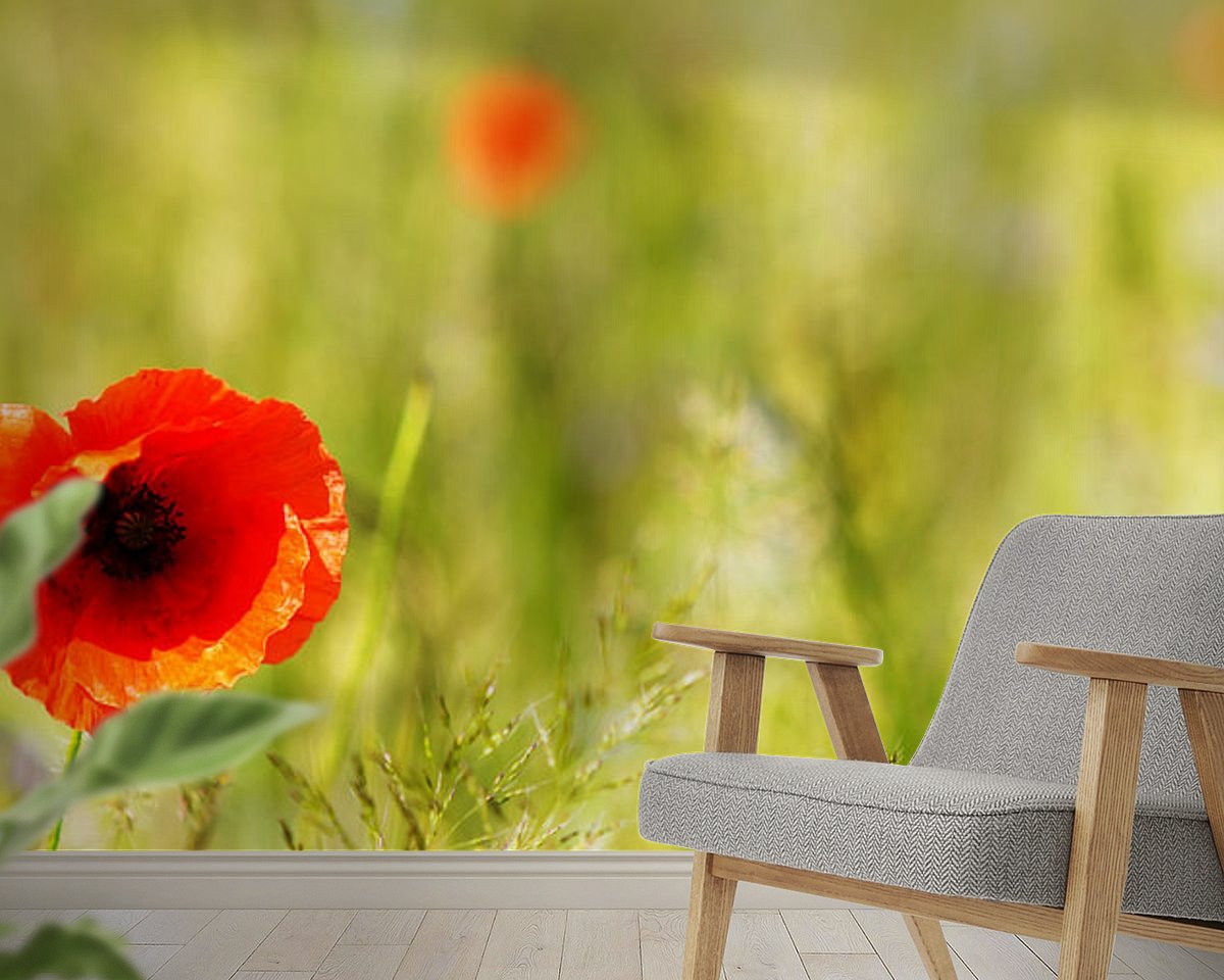 Raumvorschau