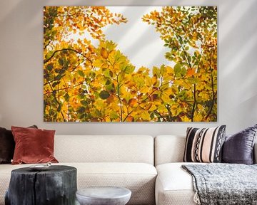 Golden autumn - colourful canopy of leaves by Jonathan Schöps | UNDARSTELLBAR.COM — Visual thoughts about God