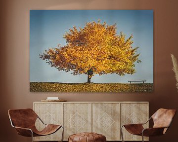 Golden autumn -The tree and the bench by Jonathan Schöps | UNDARSTELLBAR.COM — Visual thoughts about God