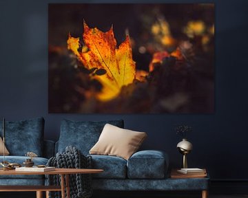 Goldener Herbst — leuchtendes Laub am Wegesrand von Jonathan Schöps | UNDARSTELLBAR.COM — Visuelle Gedanken zu Gott