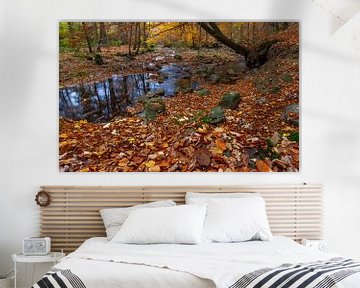 Herbst in den belgischen Ardennen von Mike Broers