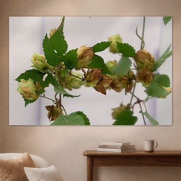 hop in de herfst van joyce kool