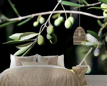 Olives in Italy by Bianca ter Riet